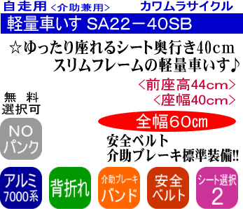 SA22 top
